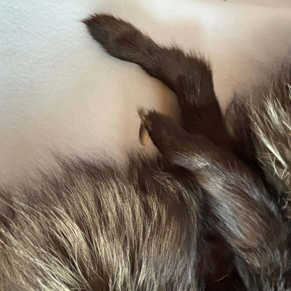 1940s 1950s Double Fox Fur Wrap Full Pelts - Picture 8 of 13